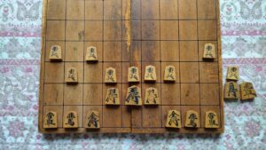 将棋の定跡？アヒル戦法